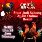 Agen 24 Jam Terbaik di Indonesia – Layanan Customer Service 24 Jam Online