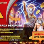 Login Habanero XL: Cara Mudah Masuk ke Platform Habanero XL